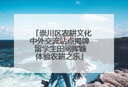 崇川区农耕文化中外交流站点揭牌 留学生田间挥镰体验农耕之乐