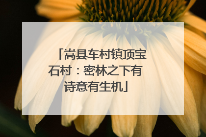 嵩县车村镇顶宝石村：密林之下有诗意有生机