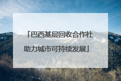 巴西基层回收合作社助力城市可持续发展