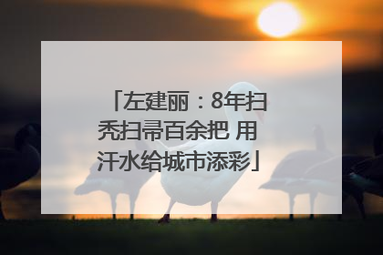 左建丽：8年扫秃扫帚百余把 用汗水给城市添彩