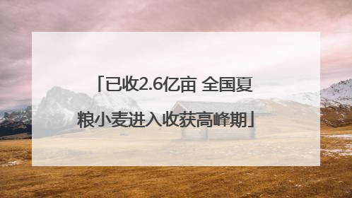 已收2.6亿亩 全国夏粮小麦进入收获高峰期