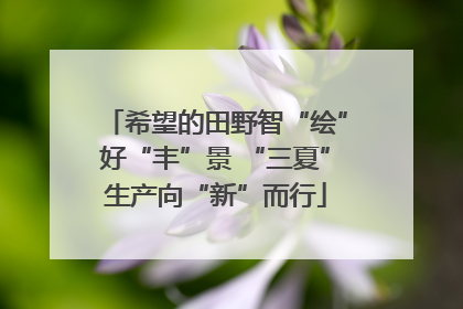 希望的田野智“绘”好“丰”景 “三夏”生产向“新”而行