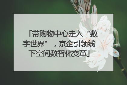 带购物中心走入“数字世界”，京企引领线下空间数智化变革