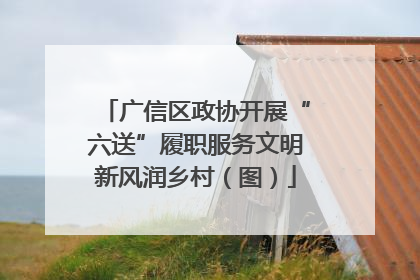 广信区政协开展“六送”履职服务文明新风润乡村（图）