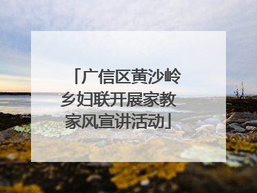广信区黄沙岭乡妇联开展家教家风宣讲活动