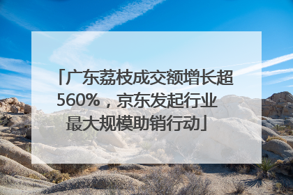 广东荔枝成交额增长超560%，京东发起行业最大规模助销行动