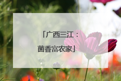 广西三江：菌香富农家