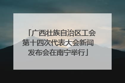 广西壮族自治区工会第十四次代表大会新闻发布会在南宁举行