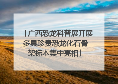 广西恐龙科普展开展 多具珍贵恐龙化石骨架标本集中亮相