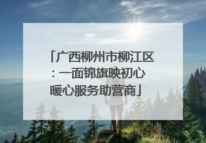 广西柳州市柳江区：一面锦旗映初心 暖心服务助营商