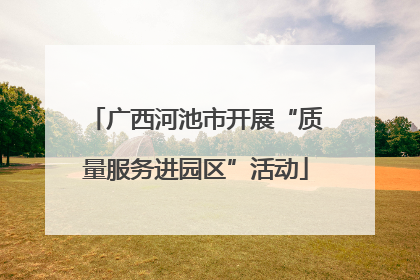 广西河池市开展“质量服务进园区”活动