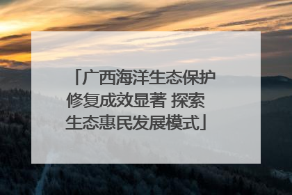 广西海洋生态保护修复成效显著 探索生态惠民发展模式