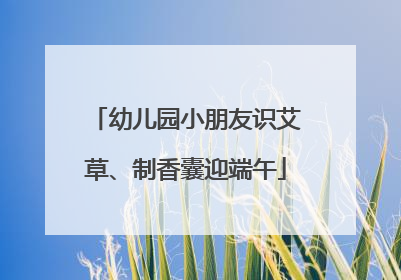 幼儿园小朋友识艾草、制香囊迎端午