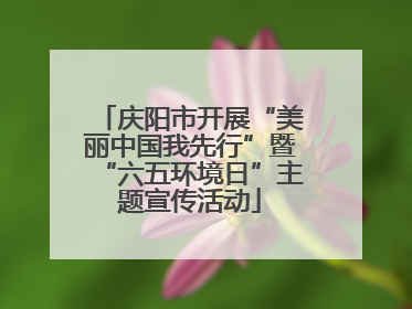 庆阳市开展“美丽中国我先行”暨“六五环境日”主题宣传活动
