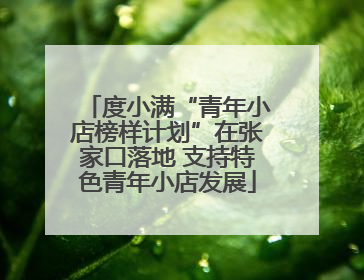度小满“青年小店榜样计划”在张家口落地 支持特色青年小店发展