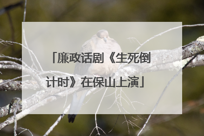 廉政话剧《生死倒计时》在保山上演