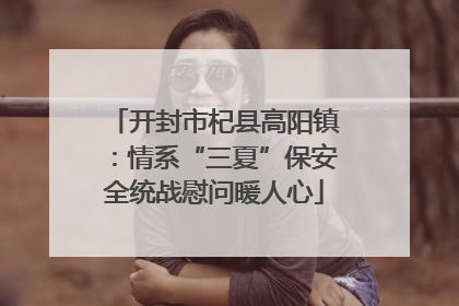 开封市杞县高阳镇：情系“三夏”保安全统战慰问暖人心