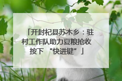 开封杞县苏木乡：驻村工作队助力夏粮抢收按下 “快进键”