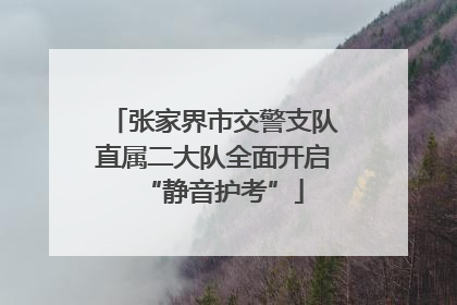 张家界市交警支队直属二大队全面开启“静音护考”