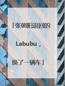 张朝阳退回的Labubu，换了一辆车