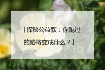 探秘公益款：你跑过的路将变成什么？