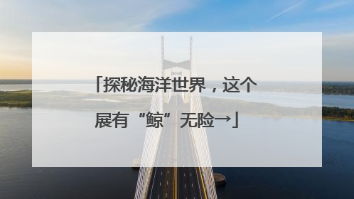 探秘海洋世界，这个展有“鲸”无险→