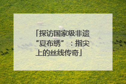 探访国家级非遗“夏布绣”：指尖上的丝线传奇