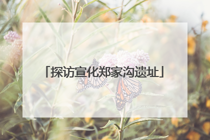 探访宣化郑家沟遗址