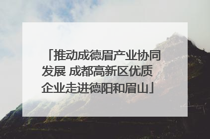 推动成德眉产业协同发展 成都高新区优质企业走进德阳和眉山