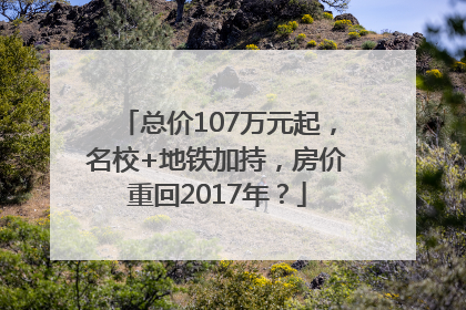 总价107万元起，名校+地铁加持，房价重回2017年？