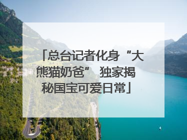 总台记者化身“大熊猫奶爸” 独家揭秘国宝可爱日常
