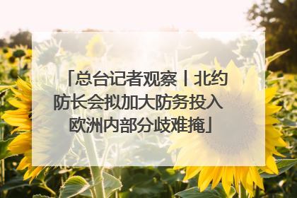 总台记者观察丨北约防长会拟加大防务投入 欧洲内部分歧难掩
