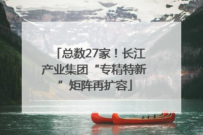 总数27家！长江产业集团“专精特新”矩阵再扩容