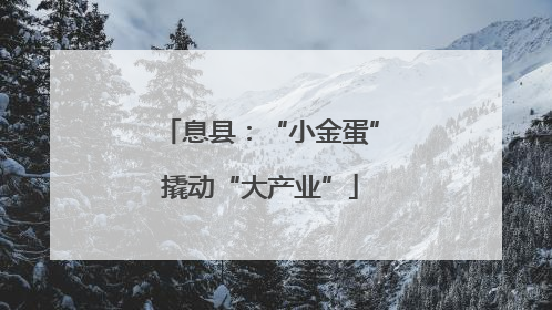息县：“小金蛋”撬动“大产业”