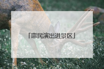 惠民演出进景区