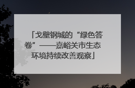 戈壁钢城的“绿色答卷”——嘉峪关市生态环境持续改善观察