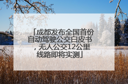 成都发布全国首份自动驾驶公交白皮书，无人公交12公里线路即将实测