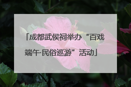 成都武侯祠举办“百戏端午·民俗巡游”活动