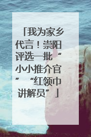 我为家乡代言！崇阳评选一批“小小推介官”“红领巾讲解员”