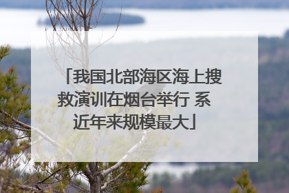 我国北部海区海上搜救演训在烟台举行 系近年来规模最大