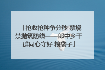 抢收抢种争分秒 禁烧禁抛筑防线——郎中乡干群同心守好 粮袋子