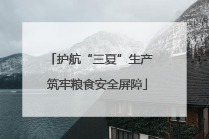护航“三夏”生产 筑牢粮食安全屏障