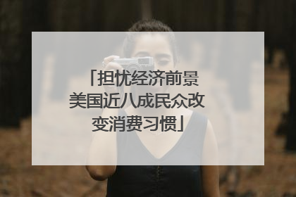 担忧经济前景 美国近八成民众改变消费习惯