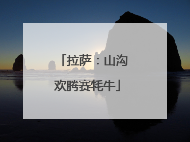 拉萨：山沟欢腾赛牦牛