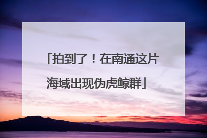 拍到了！在南通这片海域出现伪虎鲸群