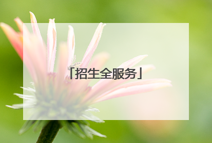 招生全服务