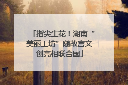 指尖生花！湖南“美丽工坊”随故宫文创亮相联合国