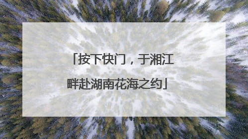 按下快门，于湘江畔赴湖南花海之约