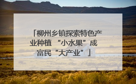 柳州乡镇探索特色产业种植 “小水果”成富民“大产业”