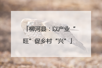 柳河县：以产业“旺”促乡村“兴”